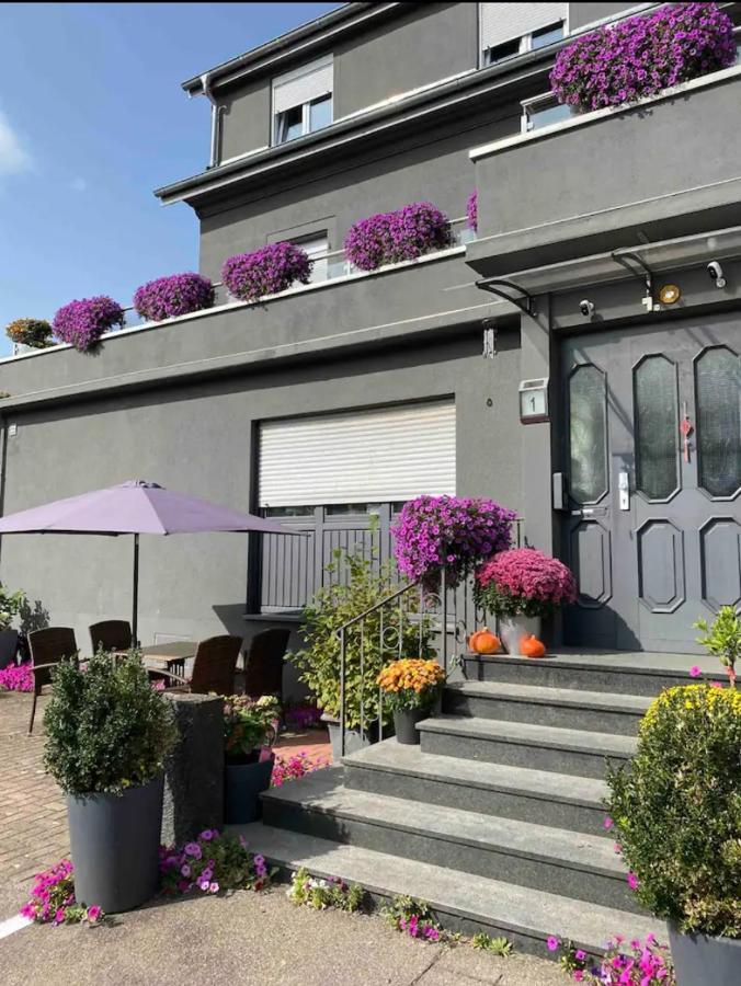 Guenstiges Gruenes Ferienzimmer Mit Separater Moderner Dusche Lorrach Exterior photo