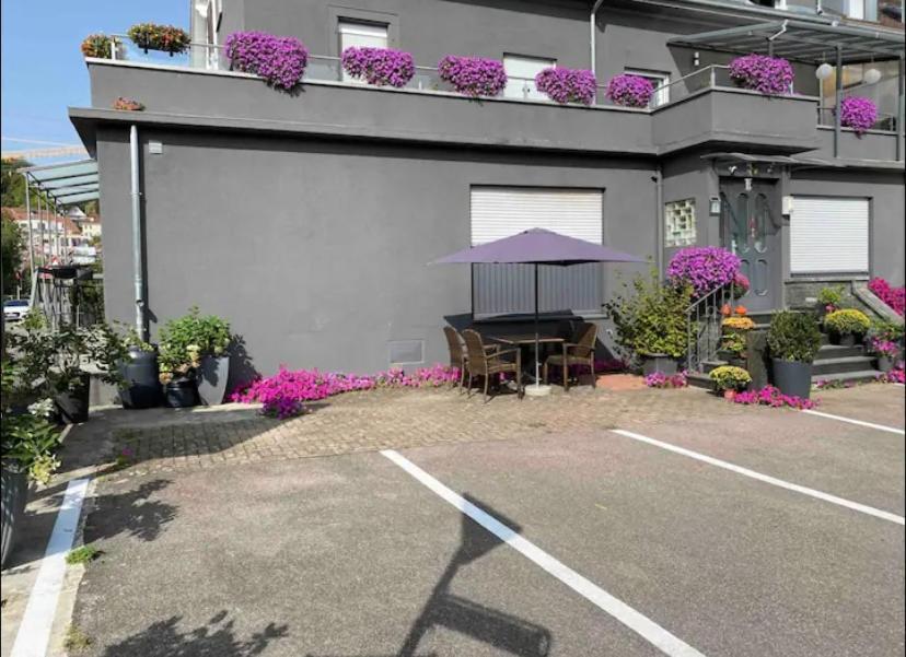 Guenstiges Gruenes Ferienzimmer Mit Separater Moderner Dusche Lorrach Exterior photo