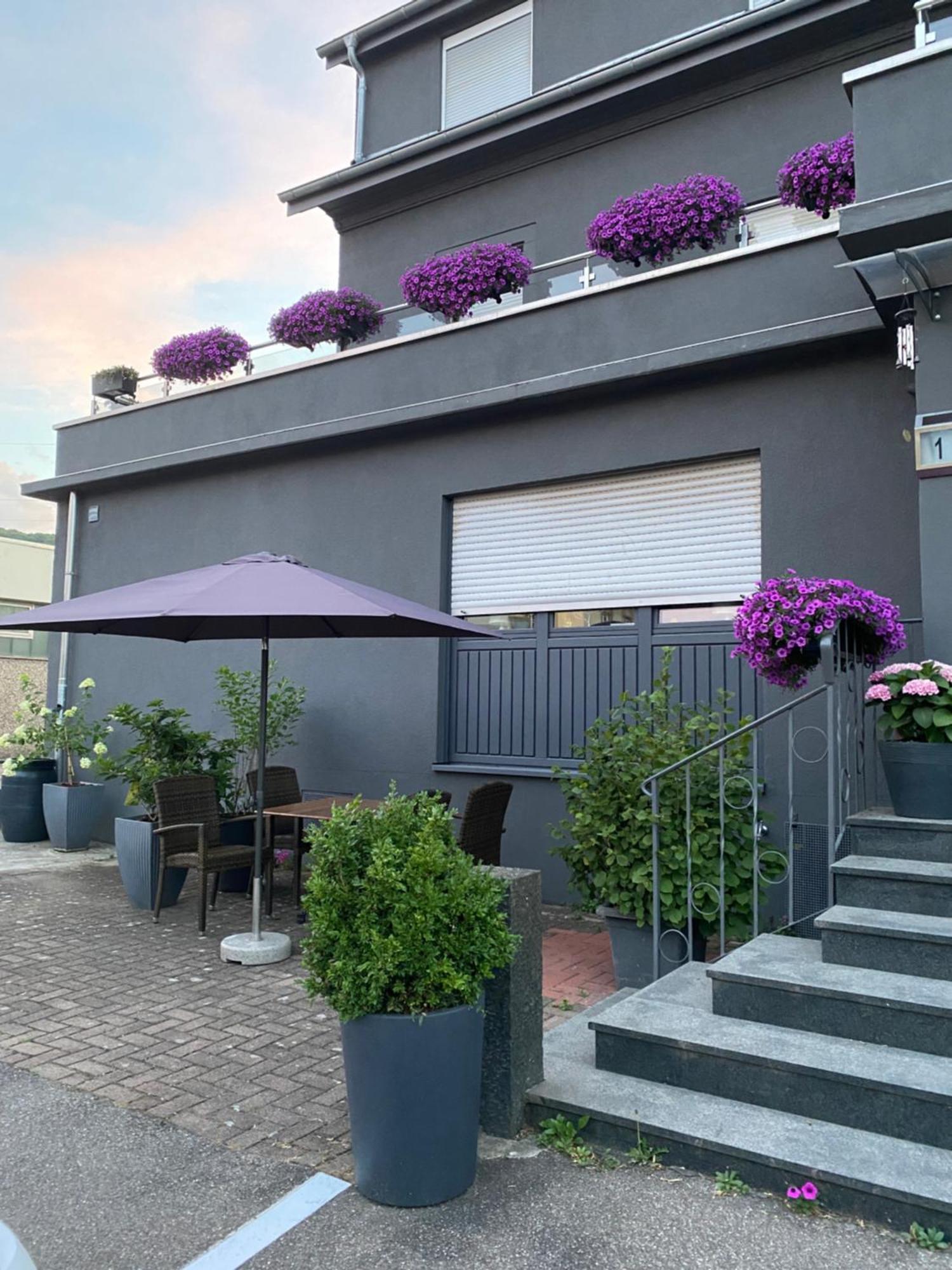 Guenstiges Gruenes Ferienzimmer Mit Separater Moderner Dusche Lorrach Exterior photo